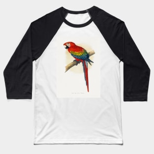 Blue and Red Macaw Baseball T-Shirt